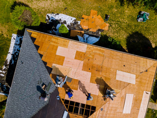Best Metal Roofing Contractor  in Logan, NM